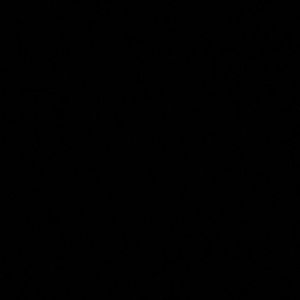 Meet your Posher, Leisa-ann